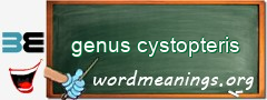 WordMeaning blackboard for genus cystopteris